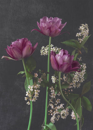 Postcard Kreetta Järvenpää - Bird cherry and tulips