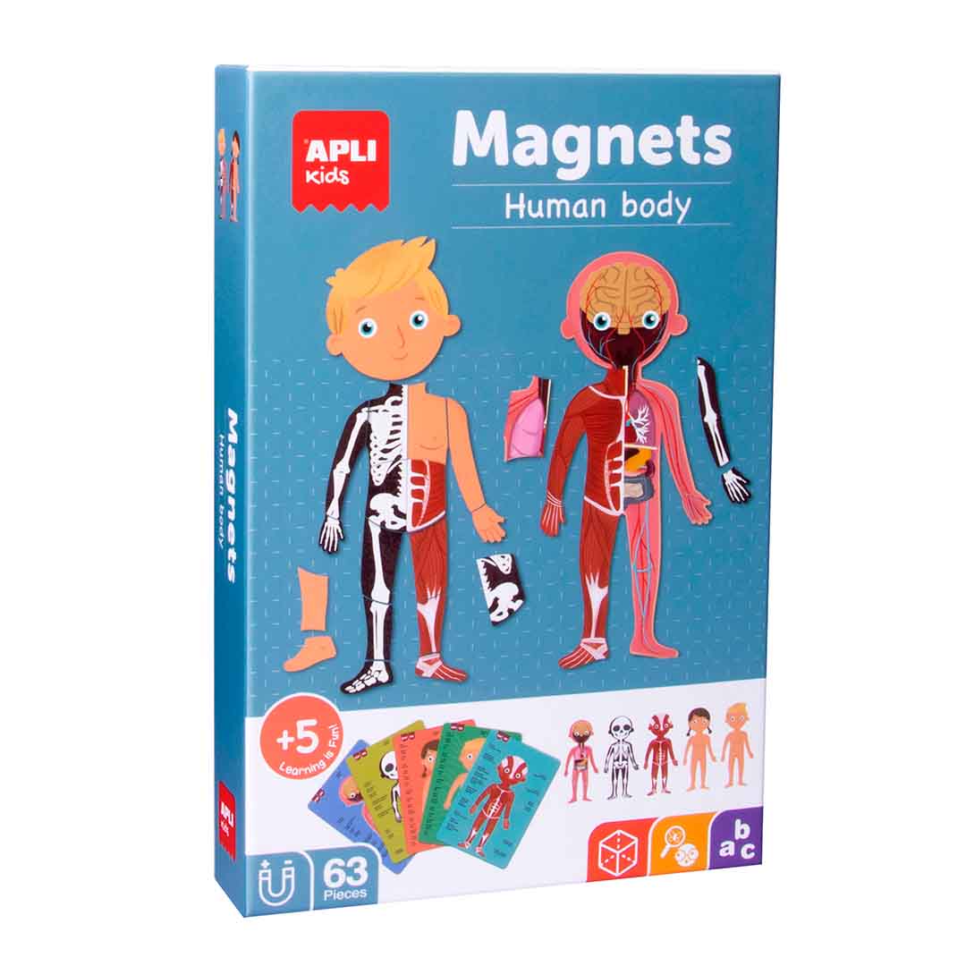 Magneettileikkisetti Apli - Human body