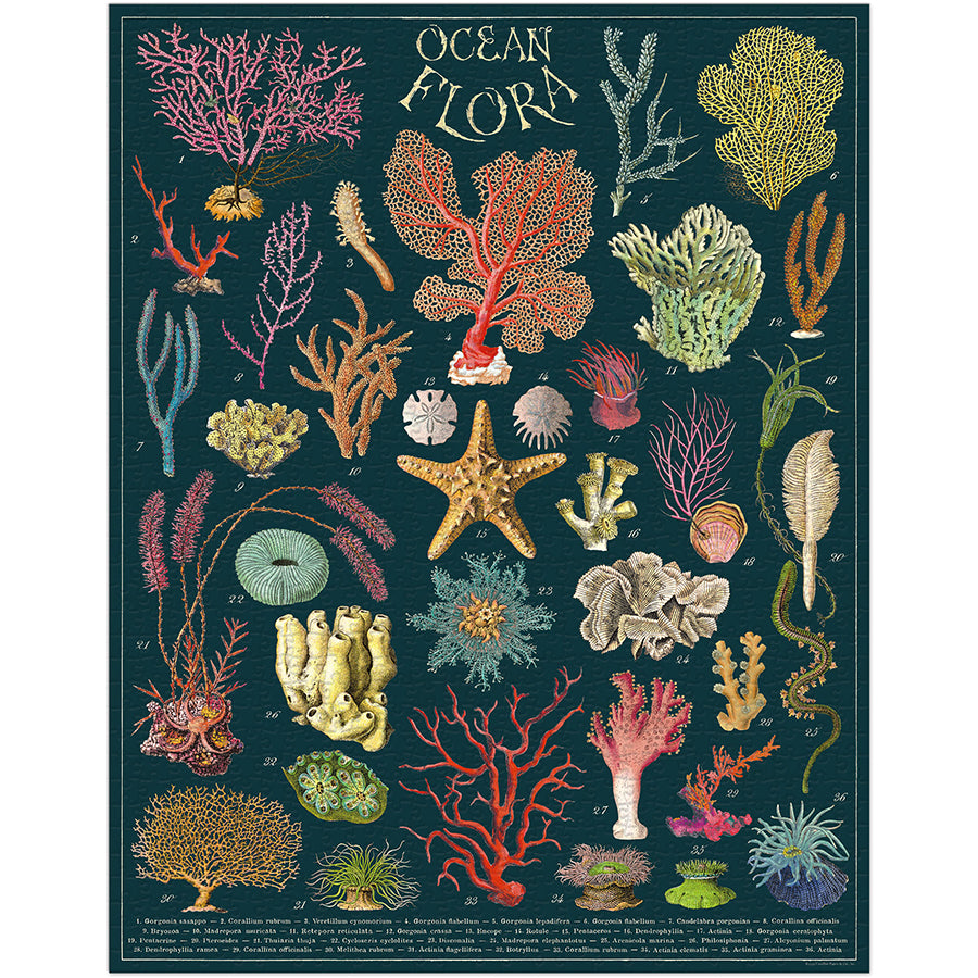 Palapeli Cavallini - Ocean Flora