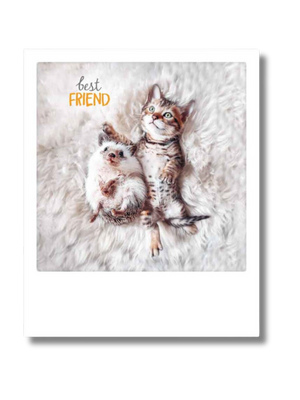Postcard Pickmotion - Best friend