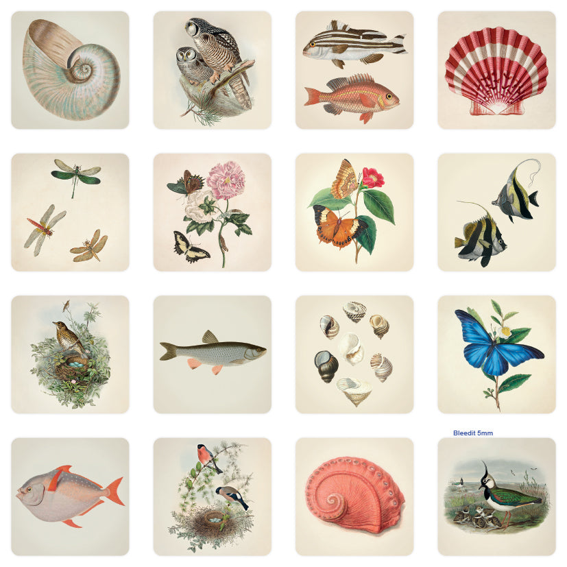 Memory game John Nurminen - Nature