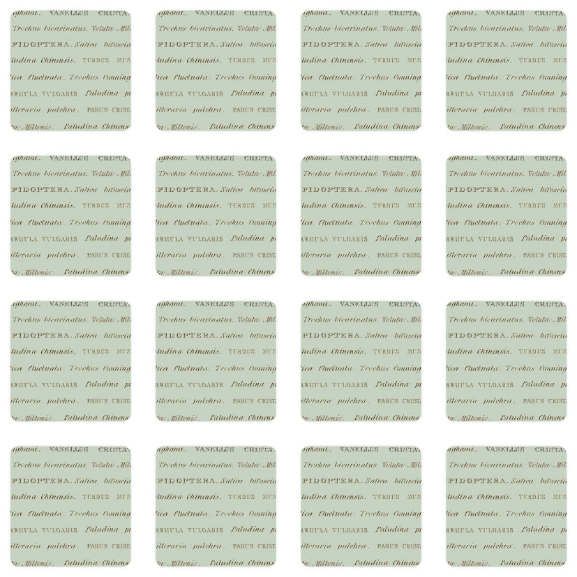 Memory game John Nurminen - Nature