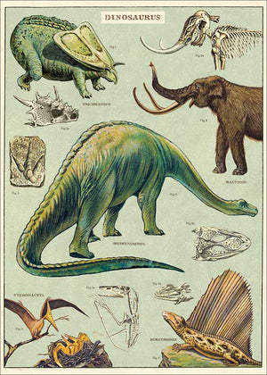 Poster Cavallini - Dino