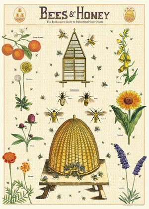 Poster Cavallini - Bees & Honey 2