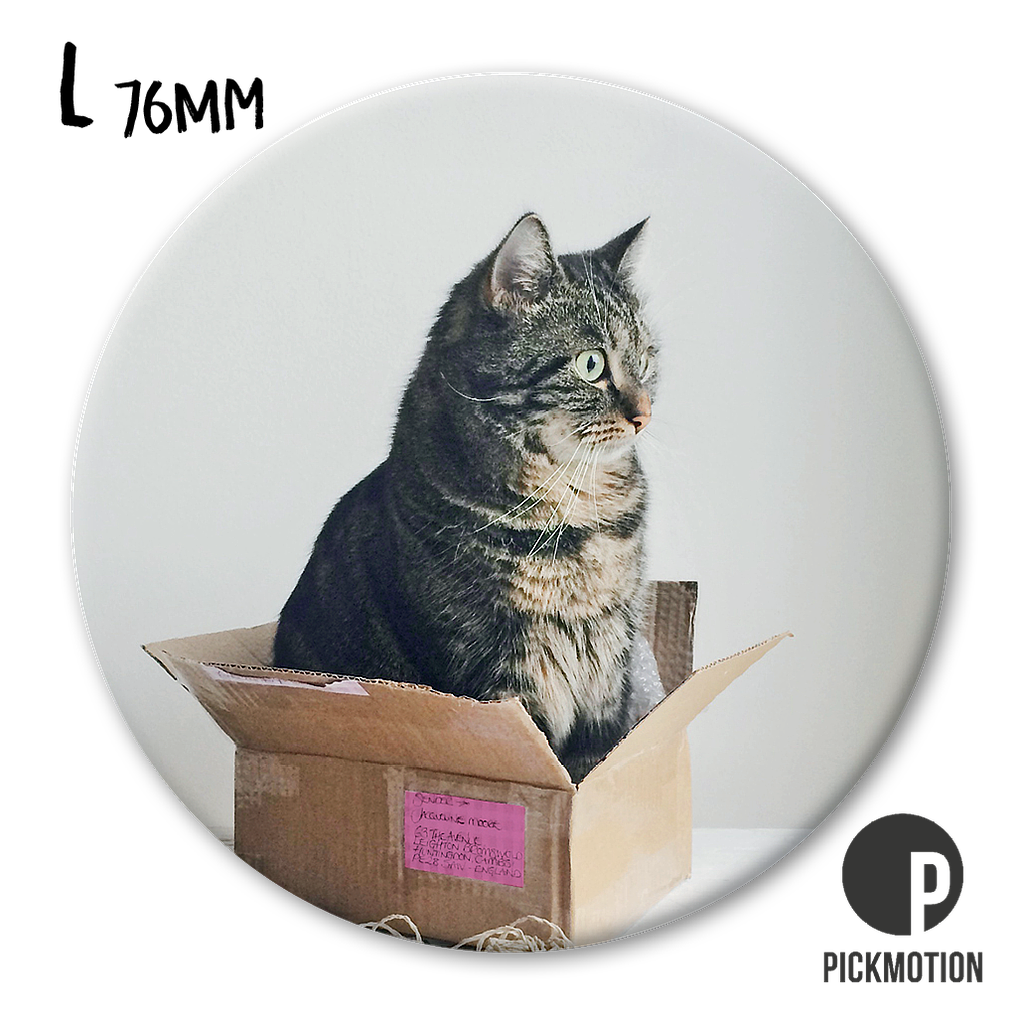 Magnet Pickmotion L - Cat in a box
