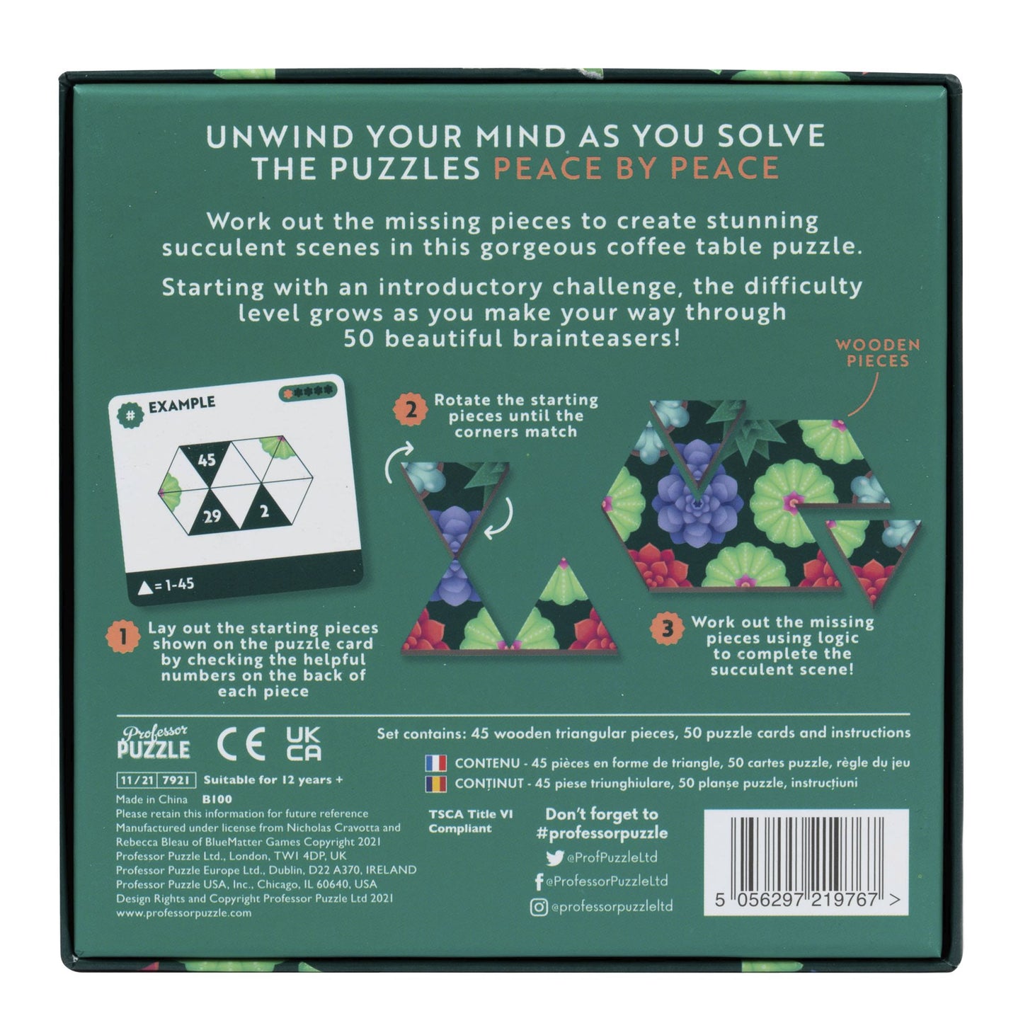 Älypeli 50 tehtävää Professor Puzzle - Peace by Peace: Succulents