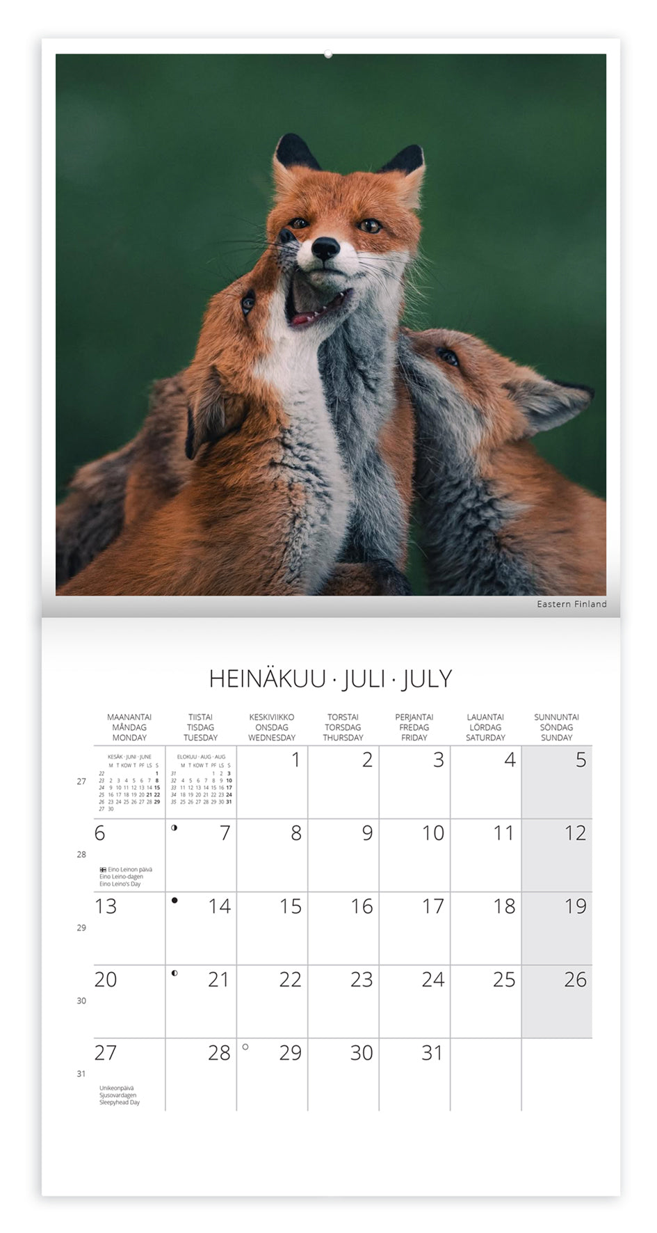 Seinäkalenteri 20x20 2026 Putinki Punkka