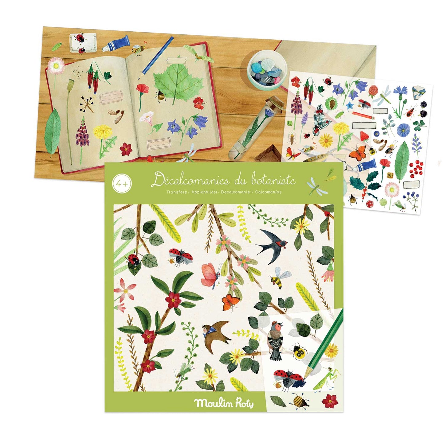 Transfers Moulin Roty - Botanist