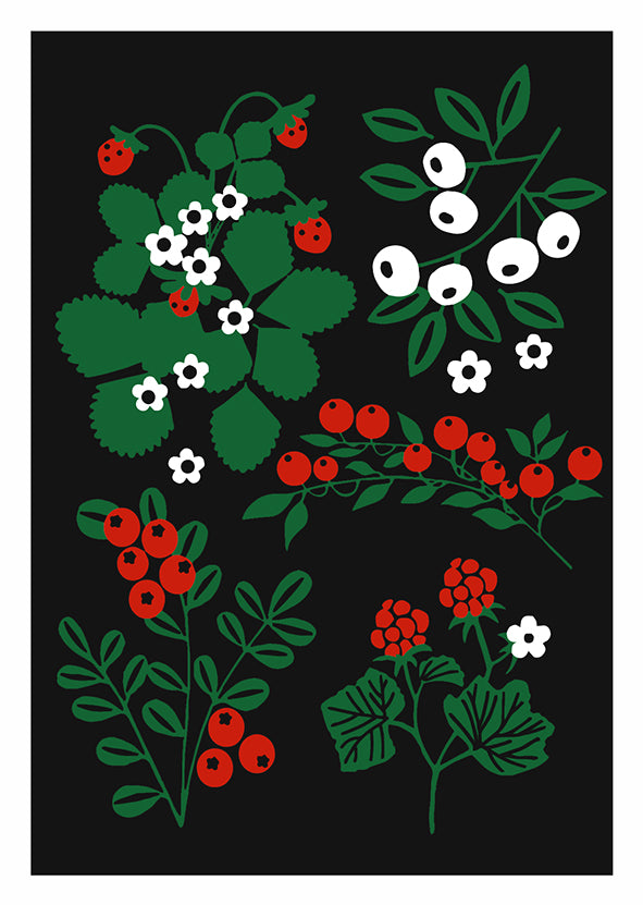 Postcard letterpress Anne Vasko - Forest berries