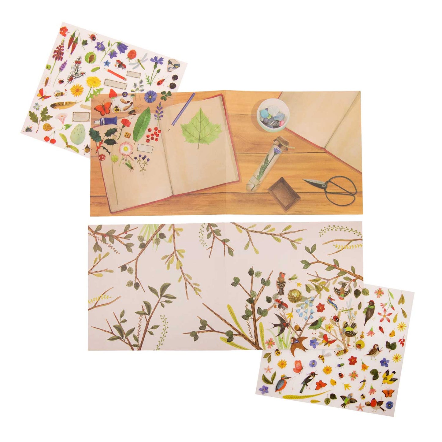 Transfers Moulin Roty - Botanist
