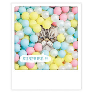 Postcard Pickmotion - Cat in a sea of balls