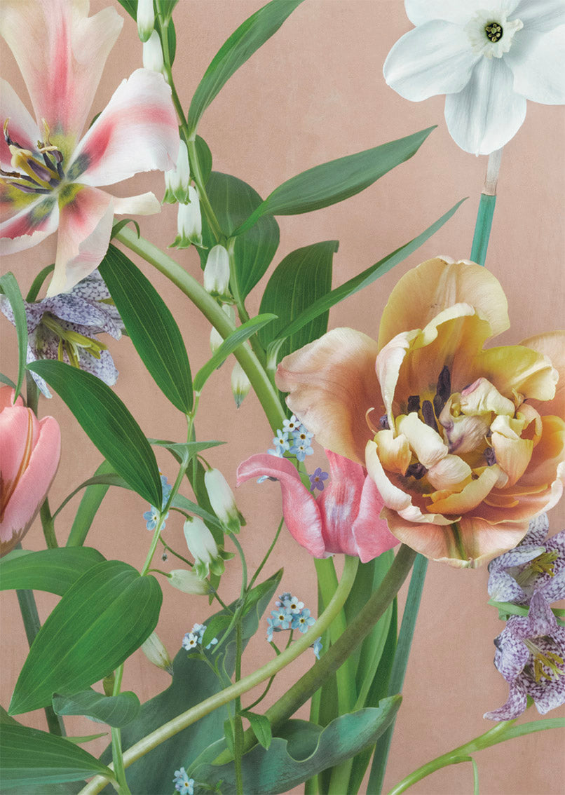 Postcard Kreetta Järvenpää - Pale tulips