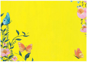 Stationery set Roger la Borde - Butterfly