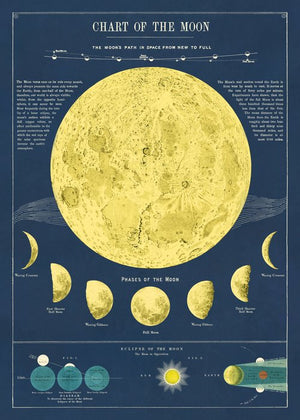 Poster Cavallini - Moon chart