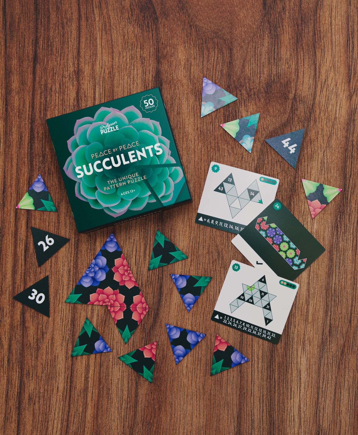 Älypeli Professor Puzzle - Peace by Peace: Succulents