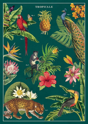 Poster Cavallini - Tropicale
