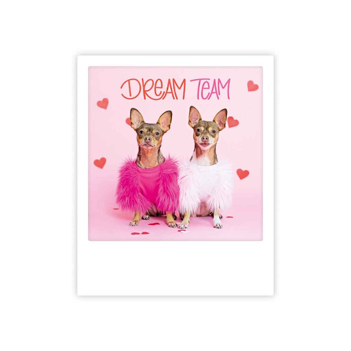 Postcard Pickmotion - Dream Team, Dogs