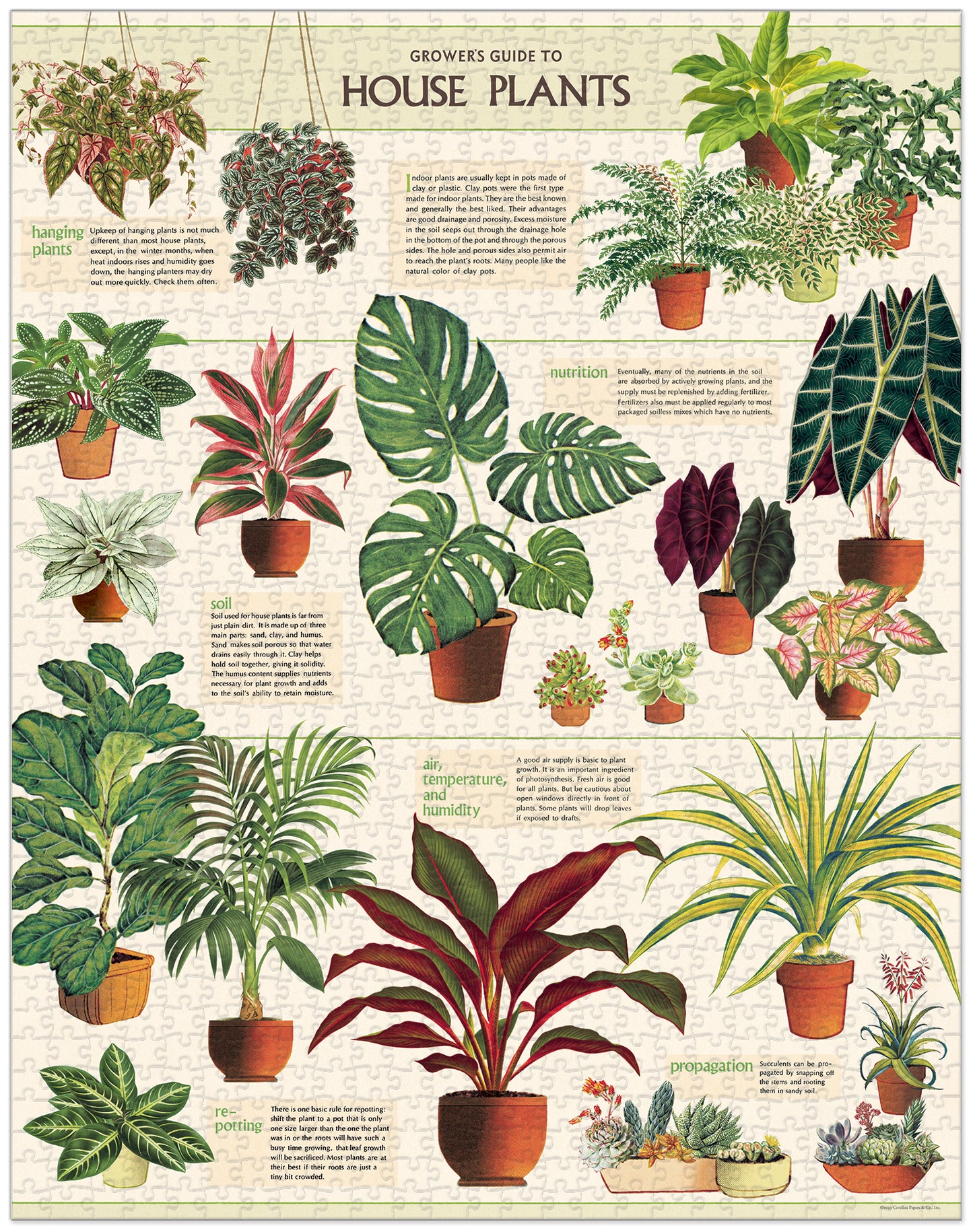 Palapeli Cavallini - Houseplants