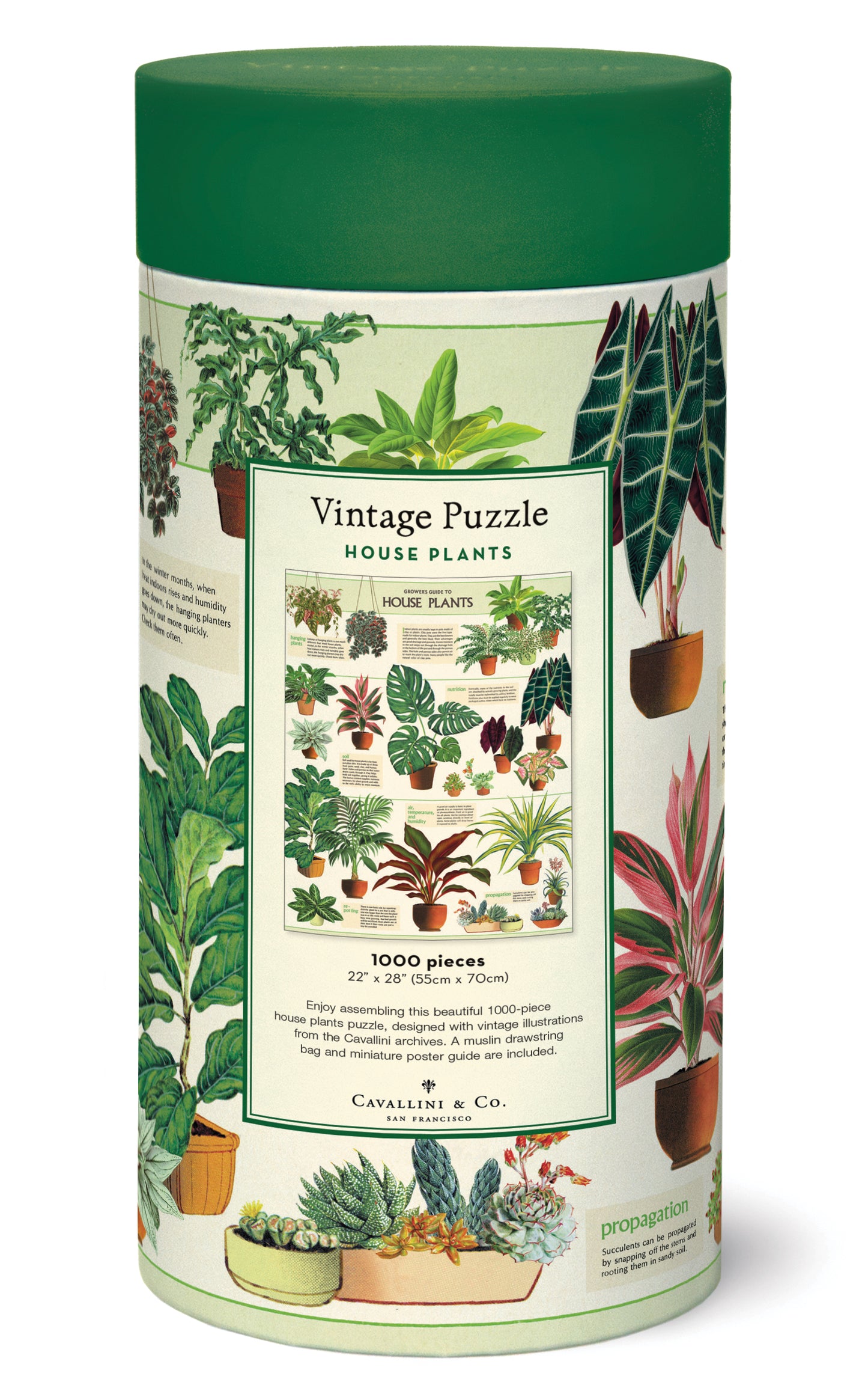 Palapeli Cavallini - Houseplants