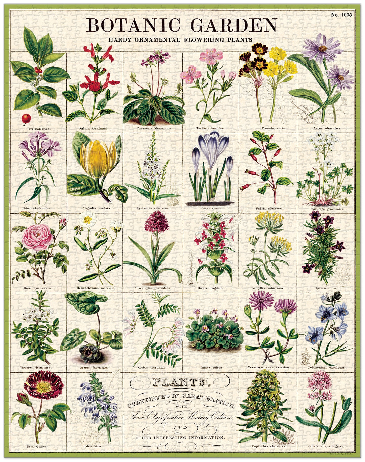 Palapeli Cavallini - Botanic Garden