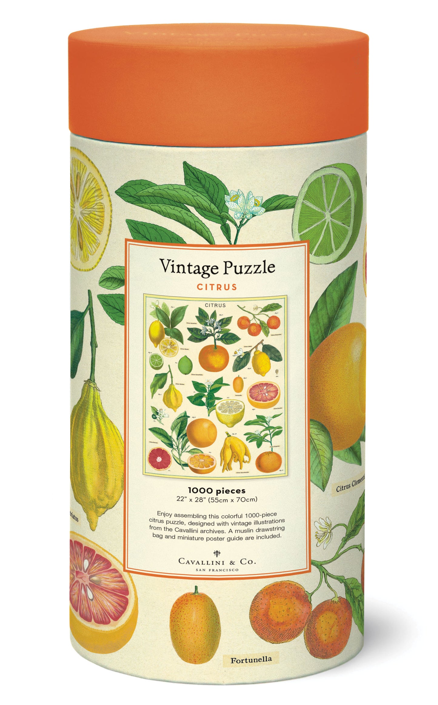 Palapeli Cavallini - Citrus