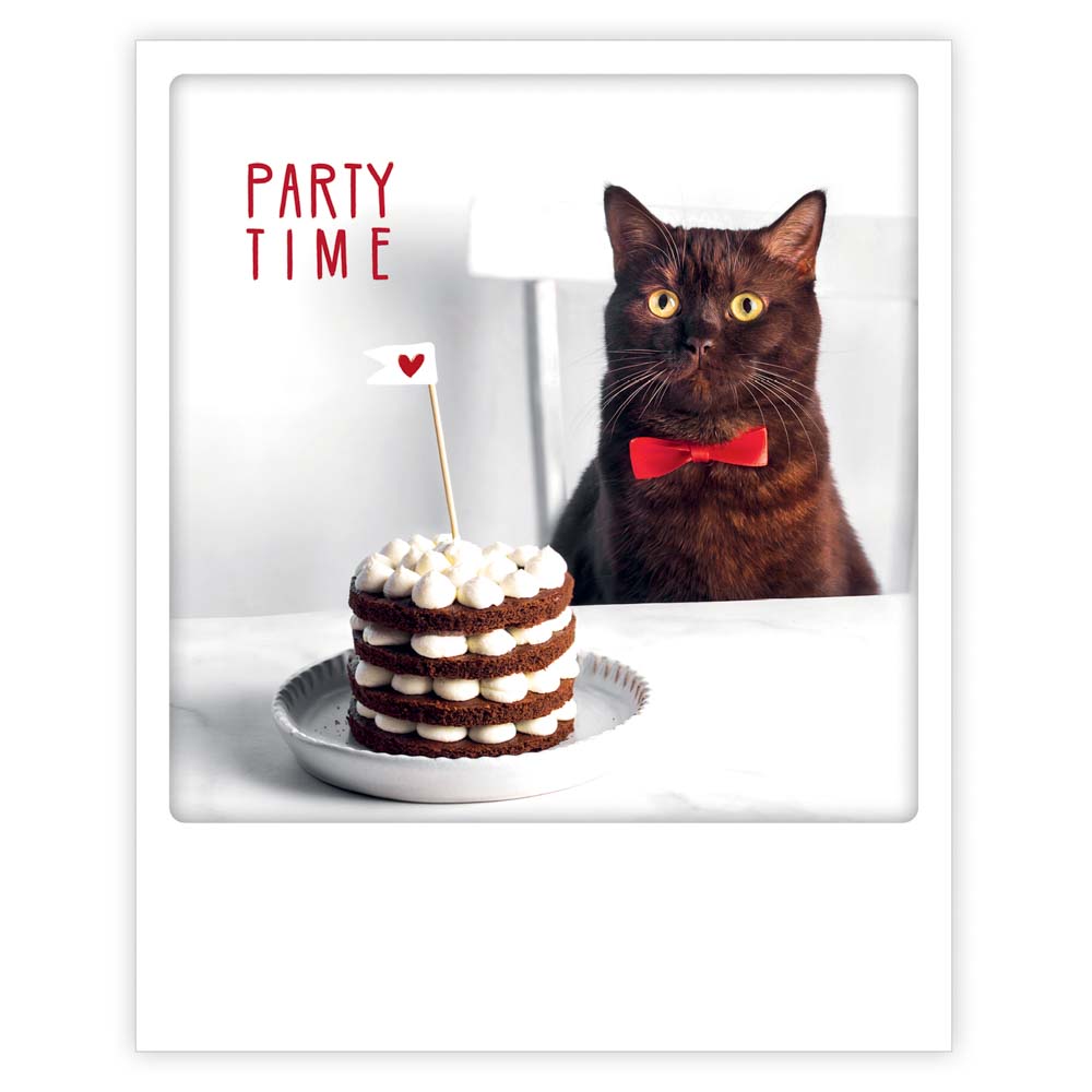 Postikortti Pickmotion - Kissa, Party time