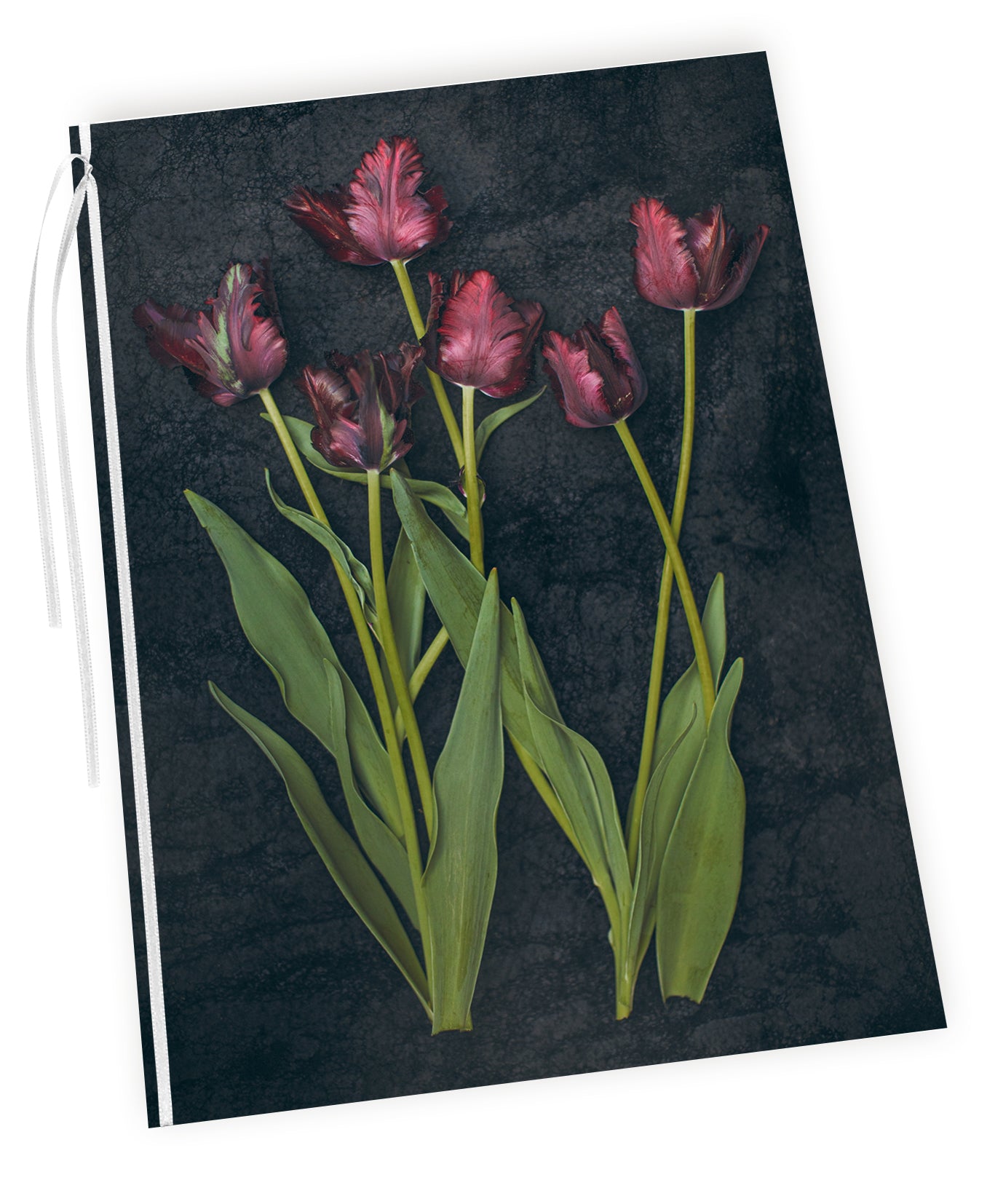 Adressi Kreetta Järvenpää - Tulppaanit