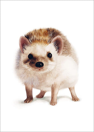 Postcard Henna Adel - Hedgehog
