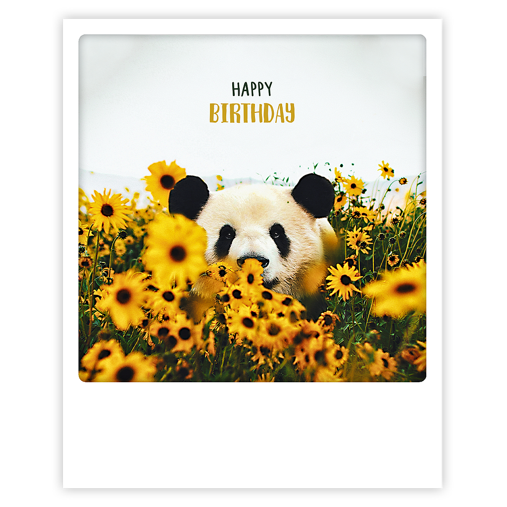 Postcard Pickmotion - Happy birthday, panda