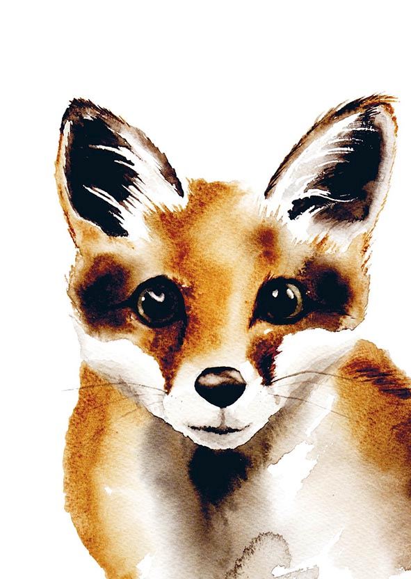 Watercolor painting of a curious red fox gazing directly at the viewer.