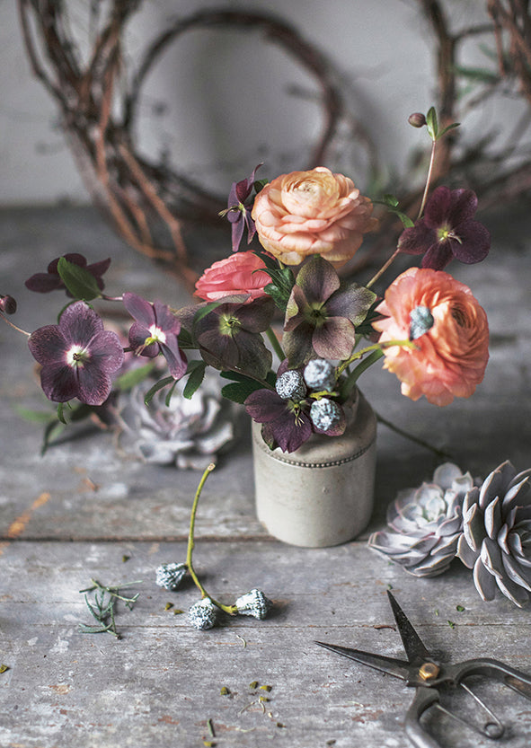 Postikortti Kreetta Järvenpää - Helleborus and Friends