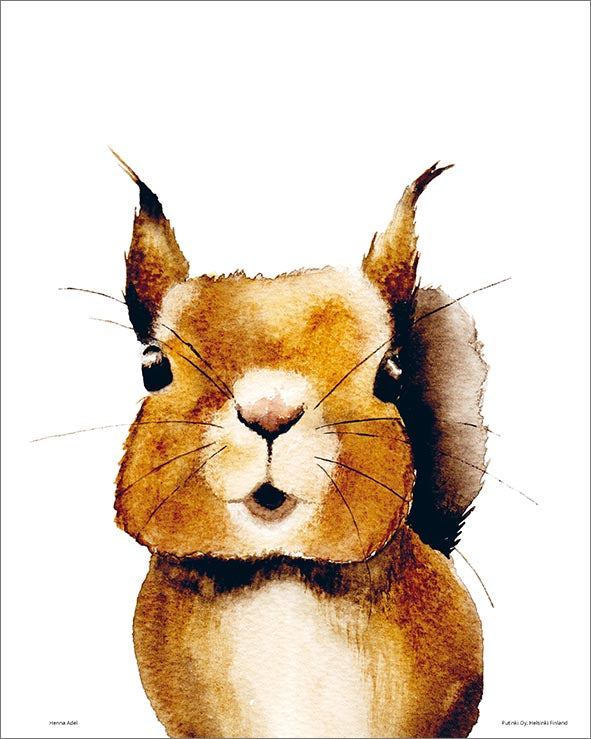 Juliste Henna Adel - Orava