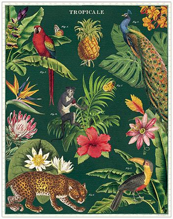Palapeli Cavallini - Tropicale