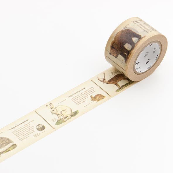 MT masking tape - encyclopedia/animal