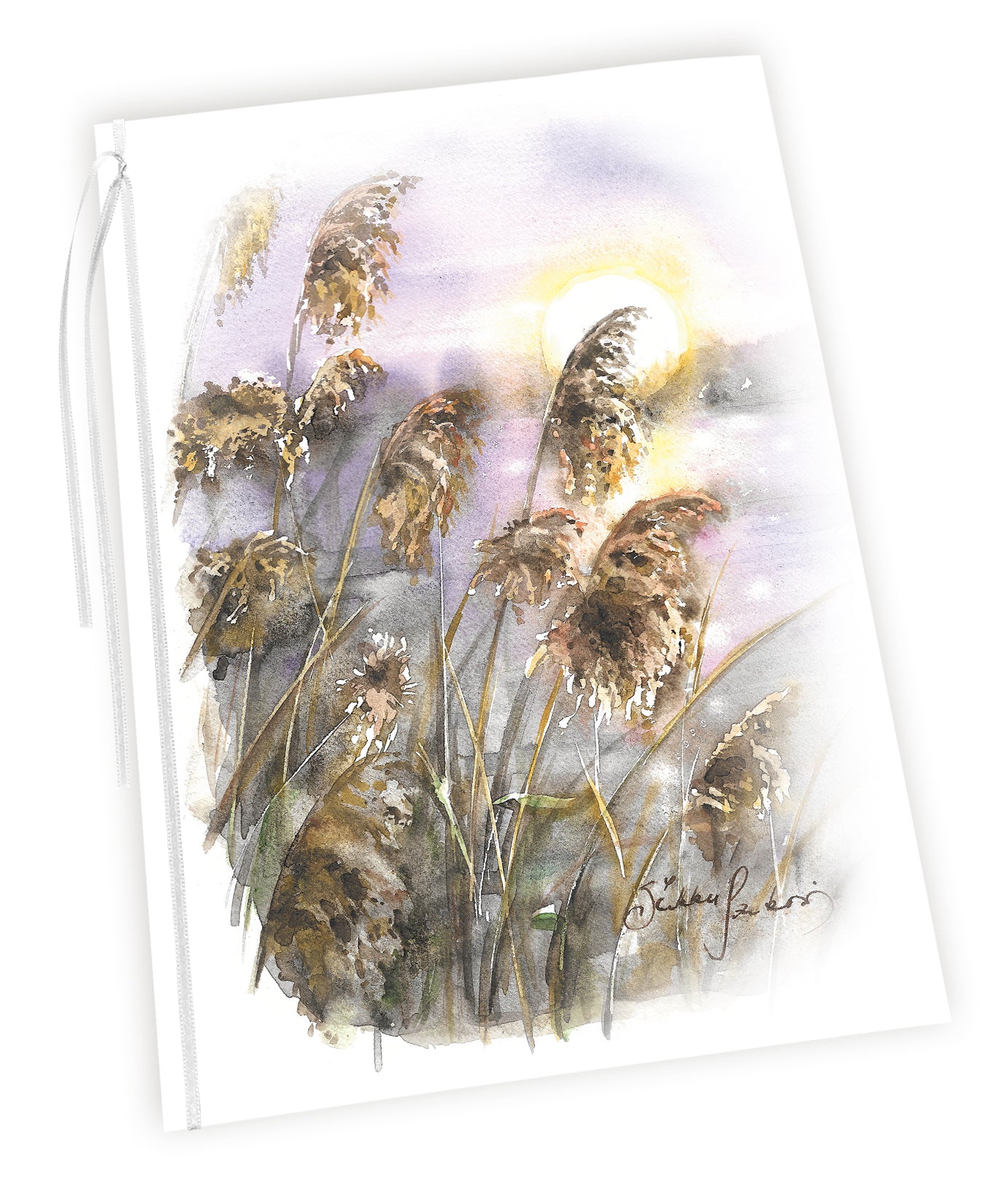 Adressi Sirkku Saukonoja - Järviruo'ot