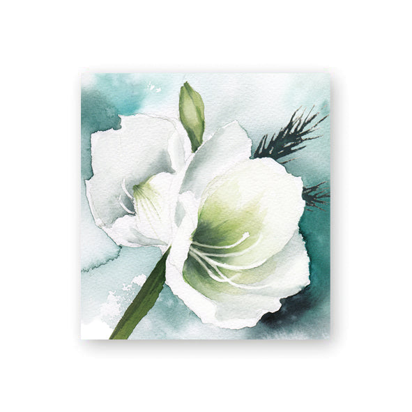 Joulupakettikortti Henna Adel - Valkoinen amaryllis
