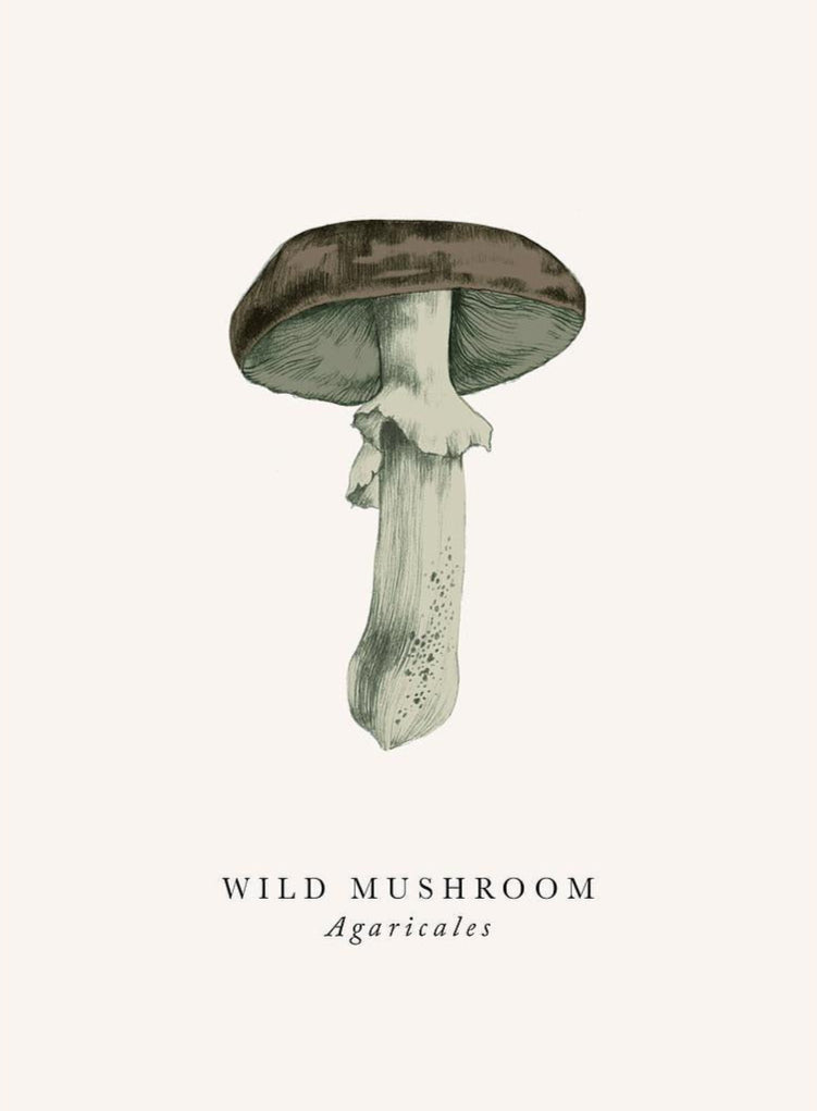 2-part card The Art File - Book and Botanics, Wild mushroom