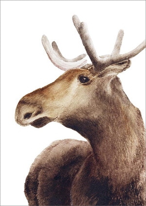 Postcard Henna Adel - Deer