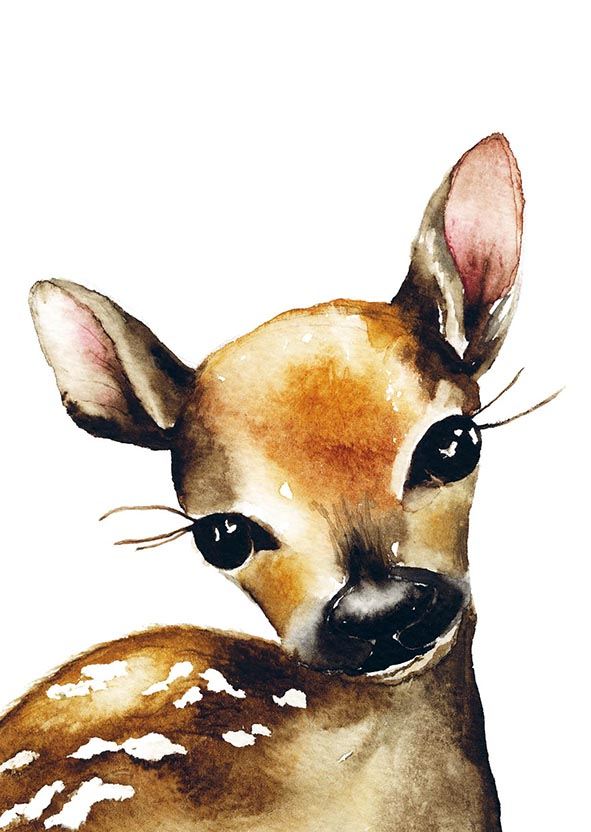 Postcard Henna Adel - Deer