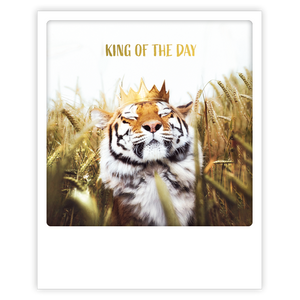 Postikortti Pickmotion - Tiikeri, king of the day
