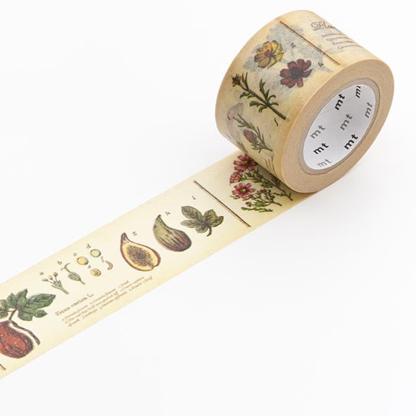 MT masking tape - encyclopedia/plant