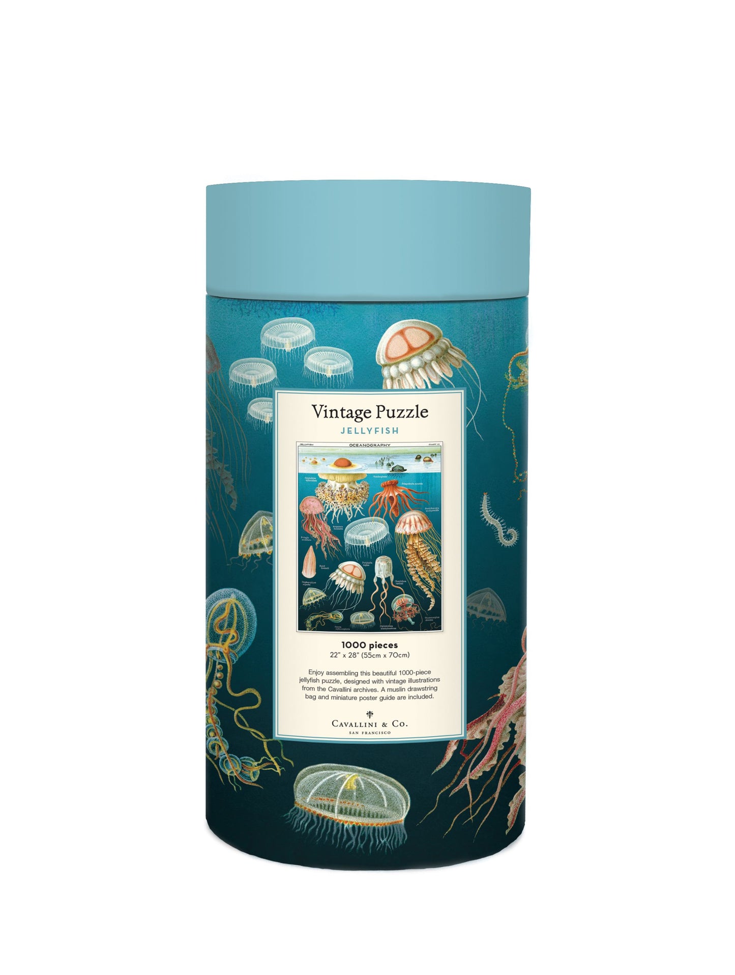 Palapeli Cavallini - Jellyfish