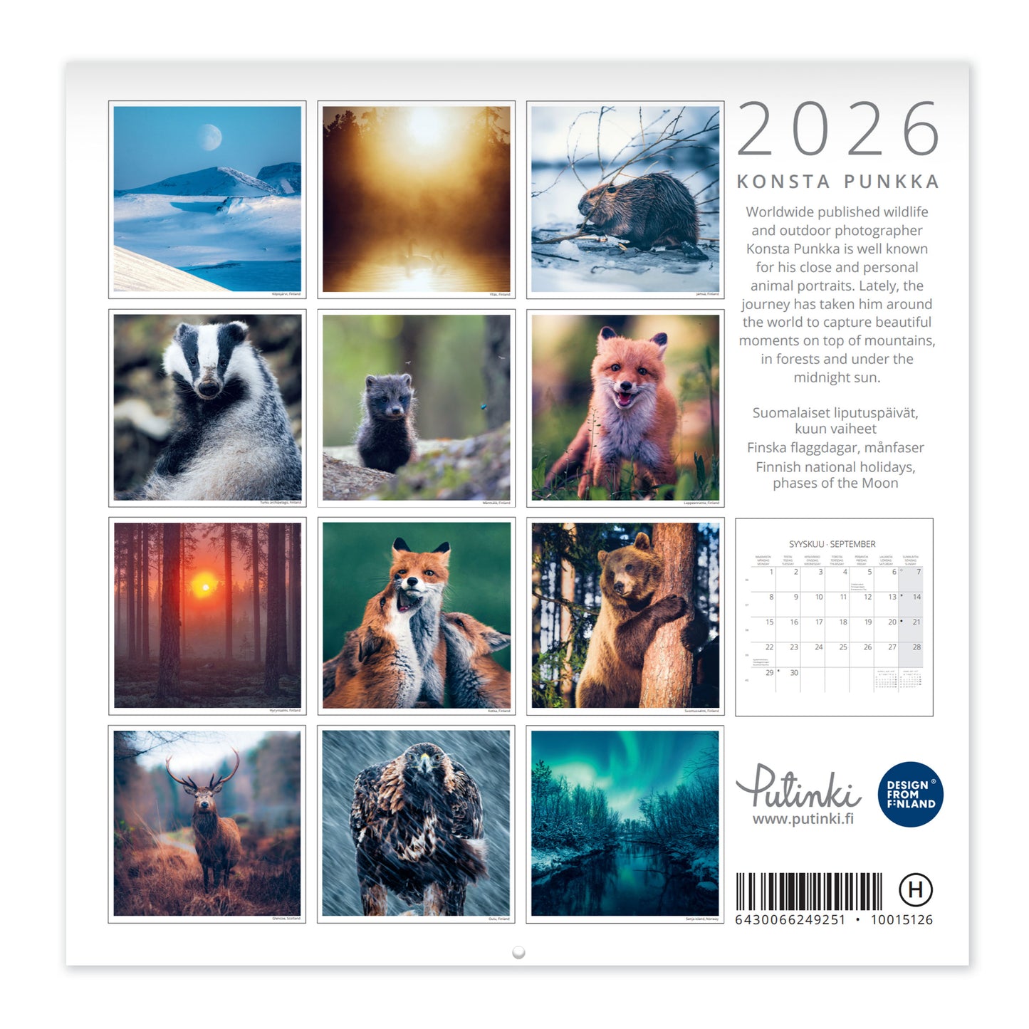 Wall calendar 20x20 2026 Putinki Punkka