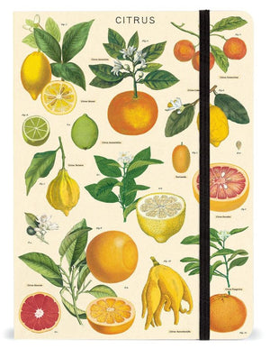 Notebook A5 Cavallini - Citrus