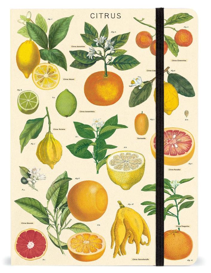 Muistikirja Cavallini - Citrus, A5