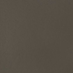 Liquitex Basics 118ml Acrylic Paint - 331 Raw Umber