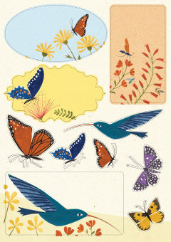 Pakettitarrat Roger La Borde - Hummingbird