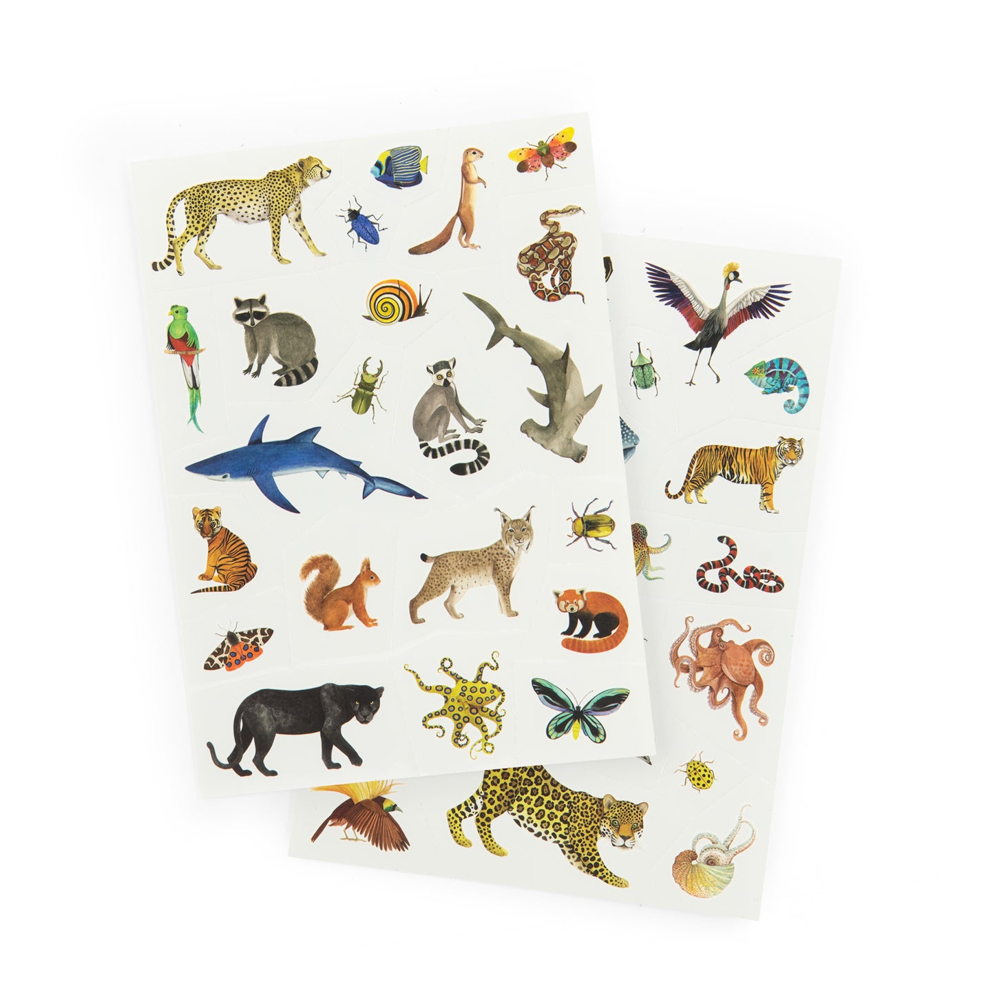 Tattoo Moulin Roty - All Around the World