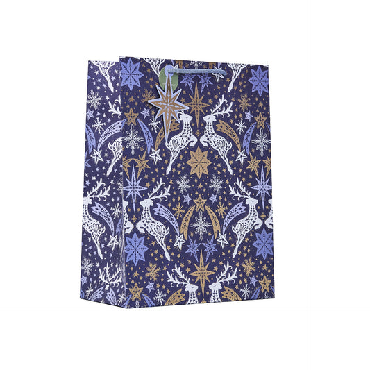 Gift bag Partisan - Star Chasers S