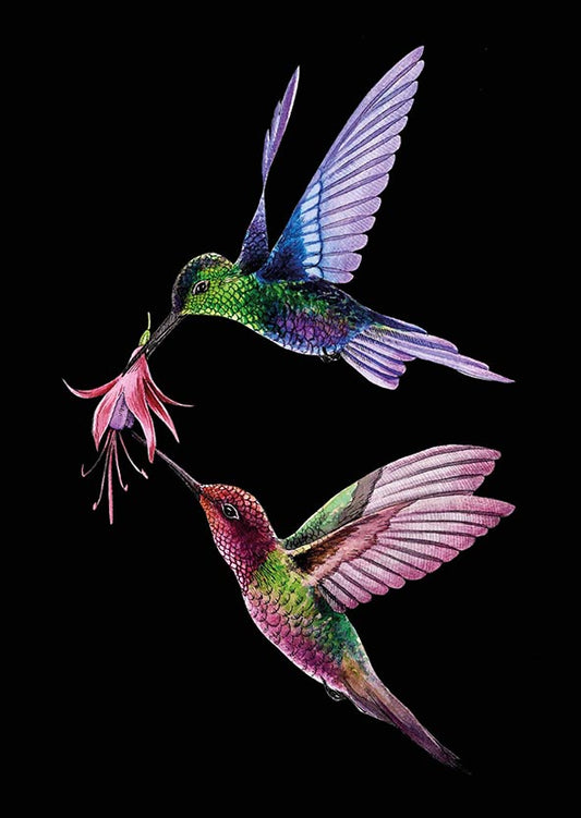 2-part card Natali Kit - Hummingbirds